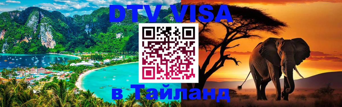 Оформление DTV визы под ключ: стоимость и тарифы, только загранпаспорт - 19.11.2025 